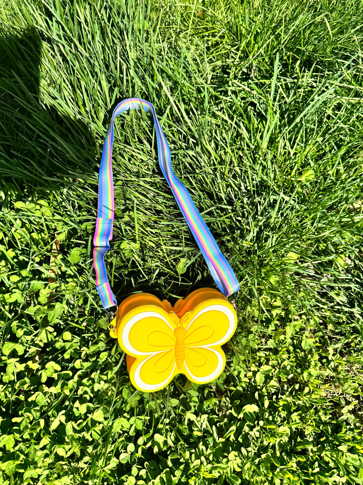 Butterfly purse