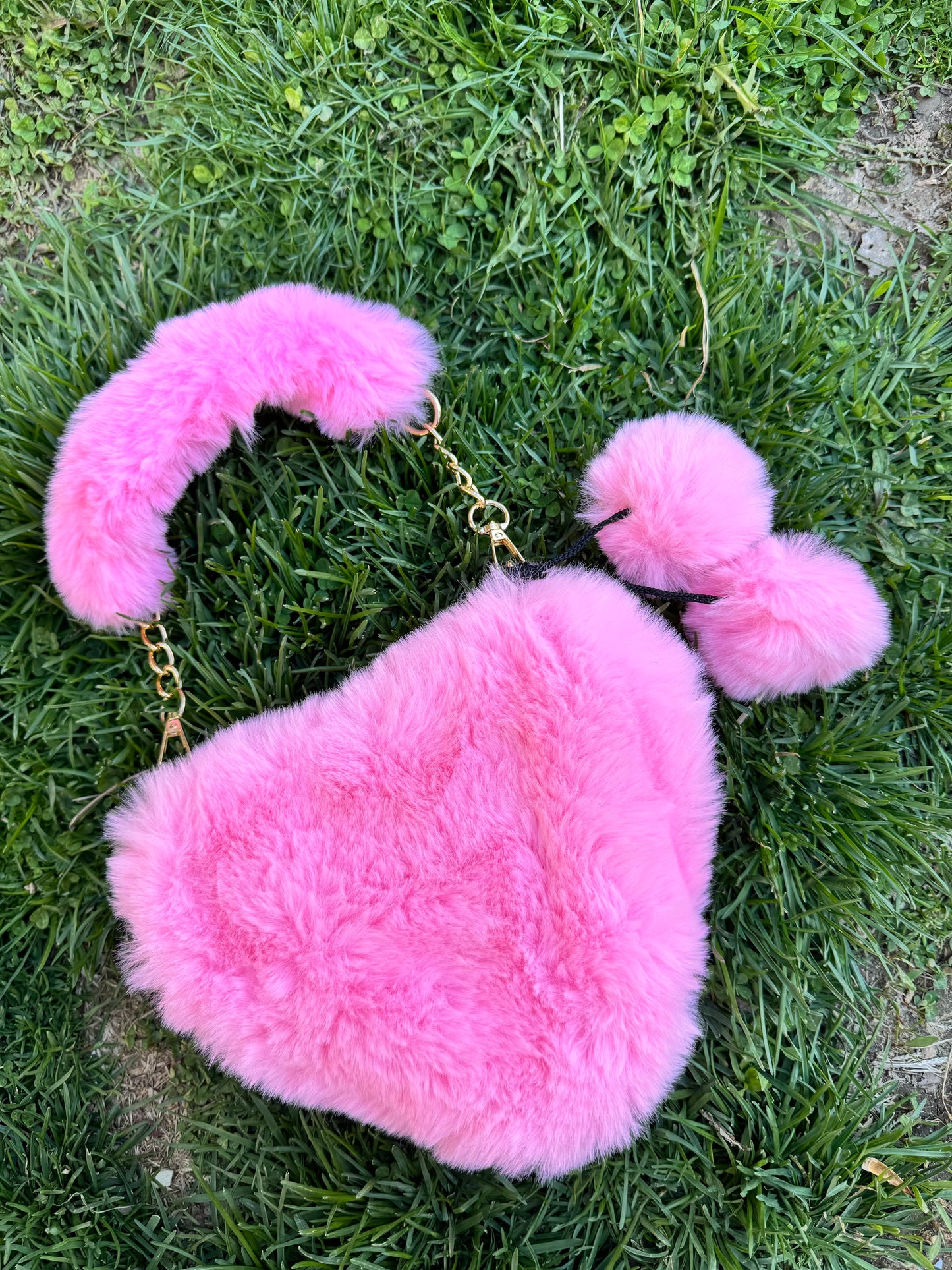 Hanging Hearts Purse